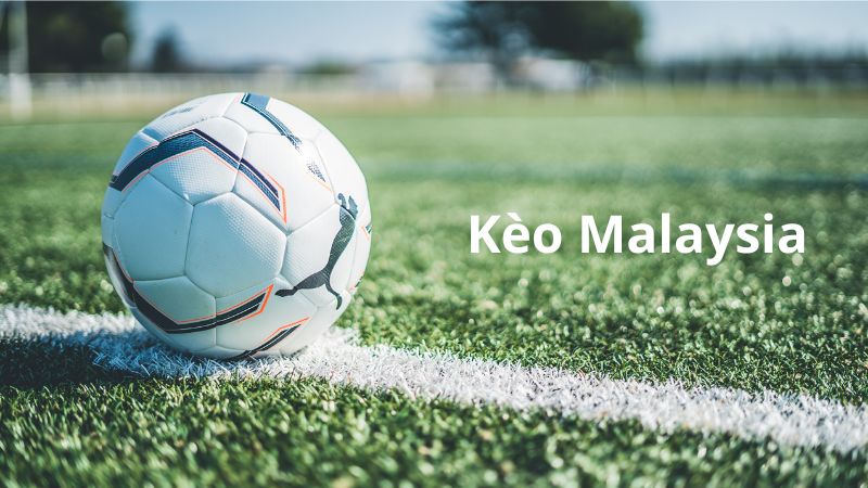 ty-le-keo-malaysia-la-gi-huong-dan-chi-tiet-cach-doc-va-chien-luoc-choi-hieu-qua-tu-a-z1